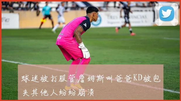 球迷被打服管詹姆斯叫爸爸KD被包夹其他人纷纷崩溃