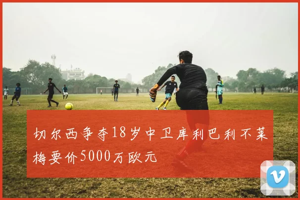 切尔西争夺18岁中卫库利巴利不莱梅要价5000万欧元