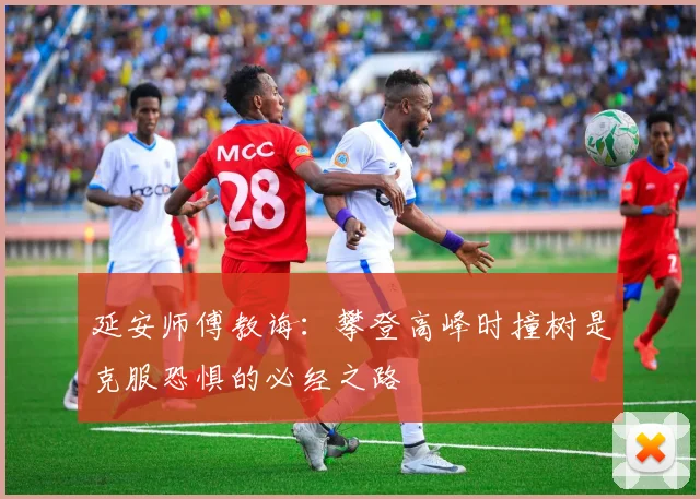 延安师傅教诲：攀登高峰时撞树是克服恐惧的必经之路